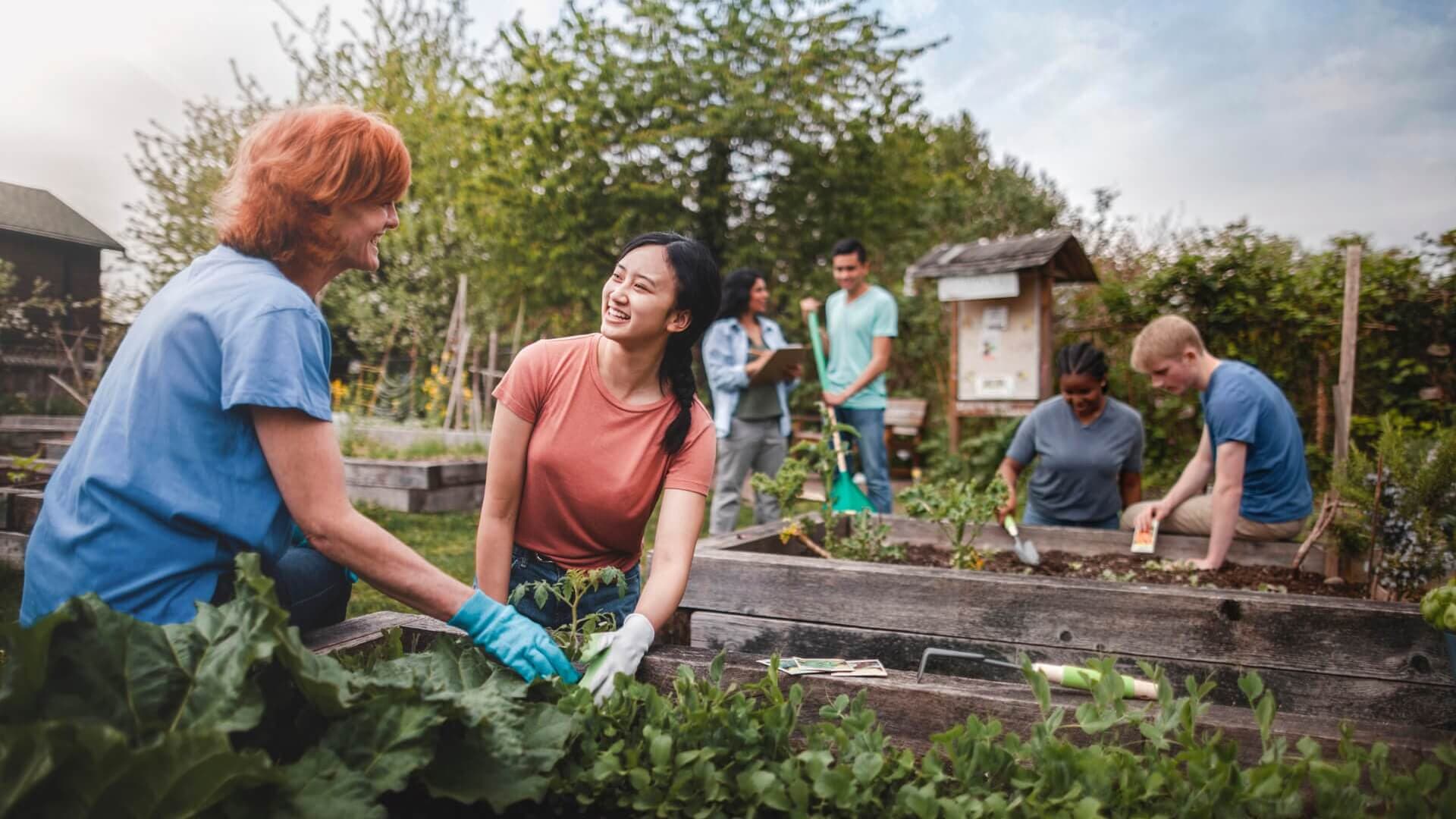 A group of people working in a nursery