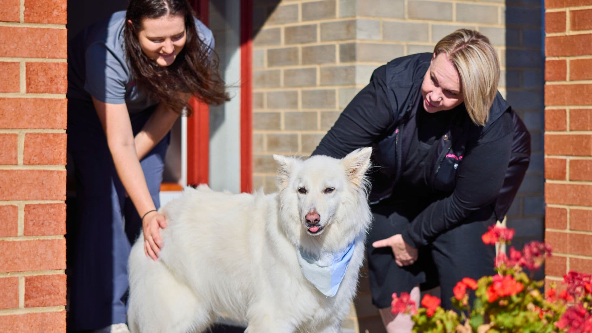 Vicki, Ciana and a large white dog come out of a house