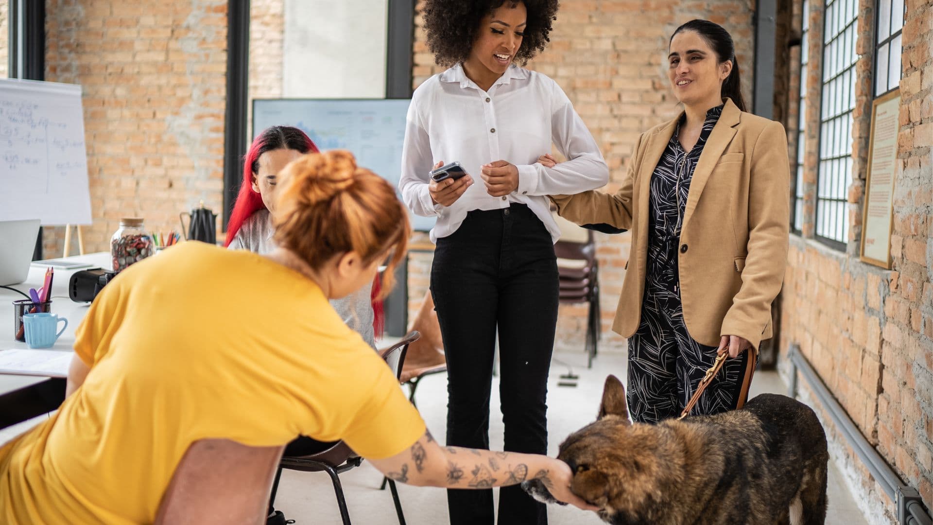 Workplace assessment meeting discussing accessibility solutions, featuring a person with a guide dog for support.