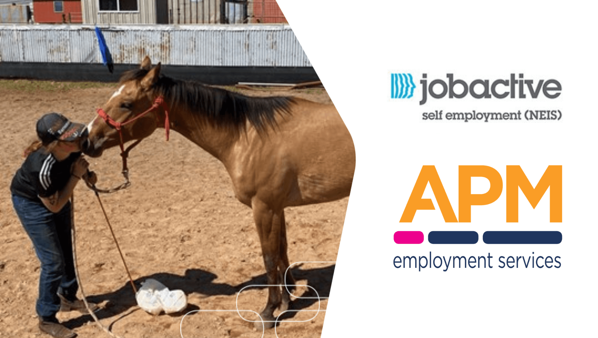 Taking the Tasmanian horse training industry by the reigns